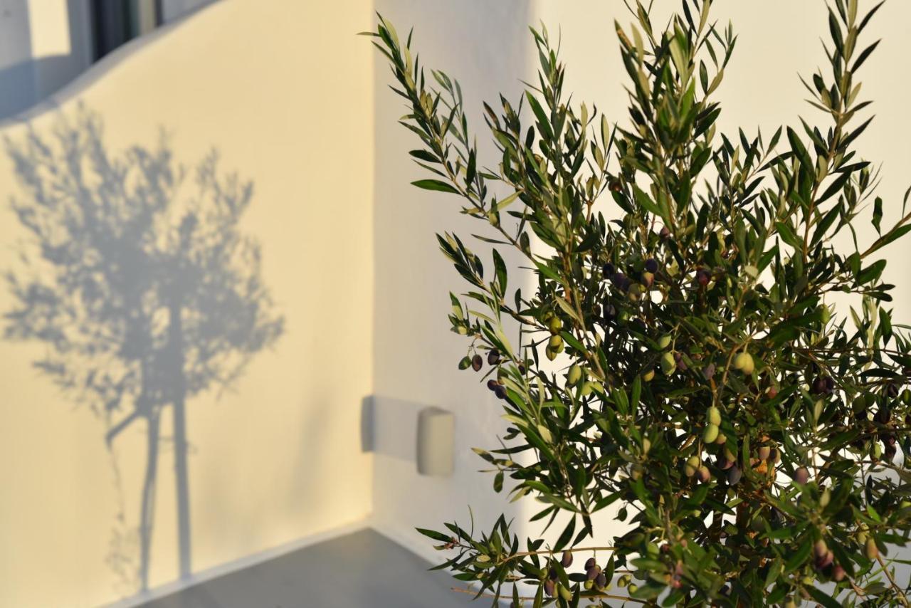 Crystal Mare Suites Naxos City Exterior photo